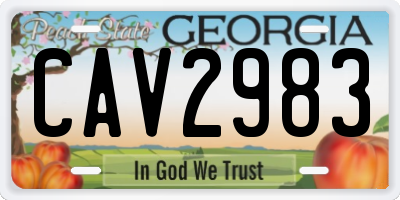GA license plate CAV2983