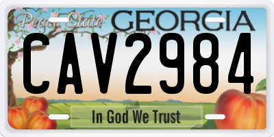 GA license plate CAV2984