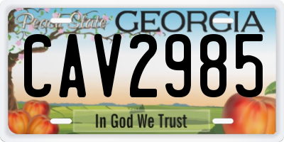 GA license plate CAV2985