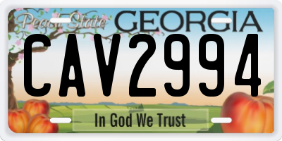 GA license plate CAV2994
