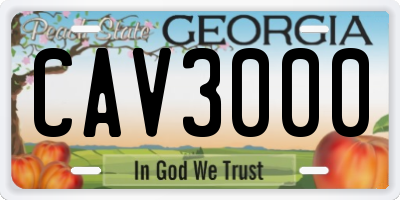 GA license plate CAV3000