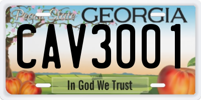 GA license plate CAV3001