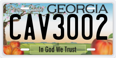 GA license plate CAV3002