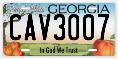 GA license plate CAV3007