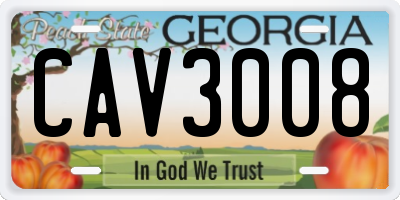 GA license plate CAV3008
