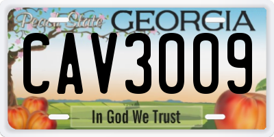 GA license plate CAV3009
