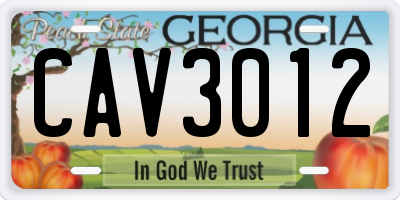 GA license plate CAV3012