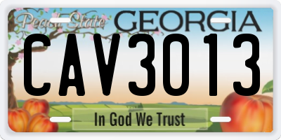 GA license plate CAV3013