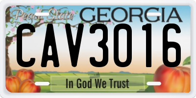 GA license plate CAV3016