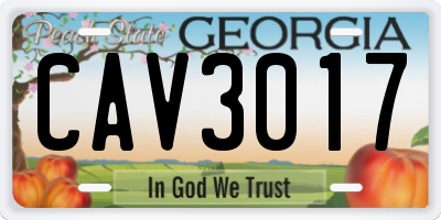 GA license plate CAV3017