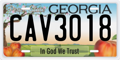 GA license plate CAV3018