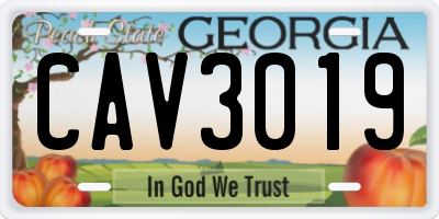 GA license plate CAV3019