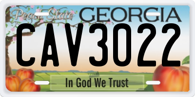 GA license plate CAV3022