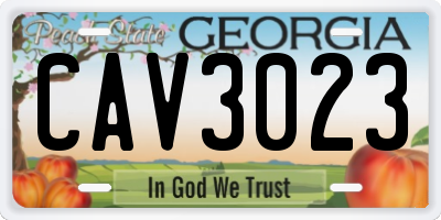 GA license plate CAV3023