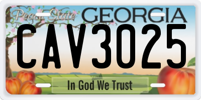 GA license plate CAV3025