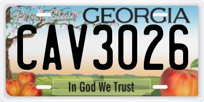GA license plate CAV3026