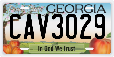 GA license plate CAV3029