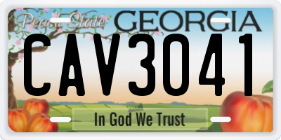GA license plate CAV3041