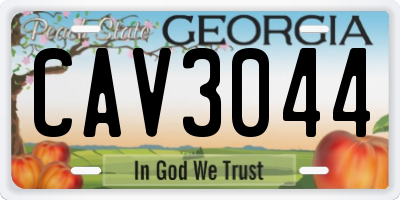 GA license plate CAV3044