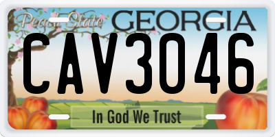 GA license plate CAV3046