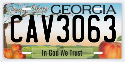 GA license plate CAV3063