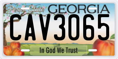 GA license plate CAV3065