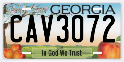 GA license plate CAV3072