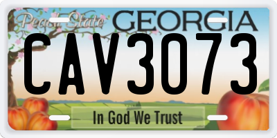 GA license plate CAV3073