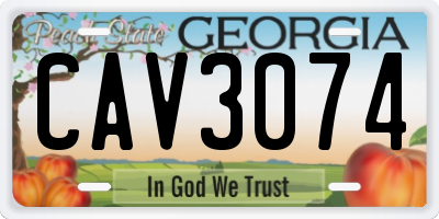 GA license plate CAV3074