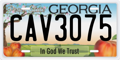 GA license plate CAV3075