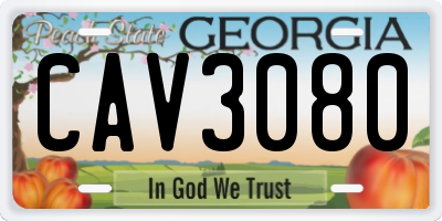GA license plate CAV3080
