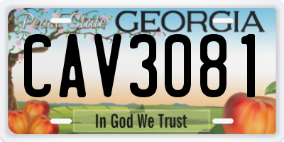 GA license plate CAV3081