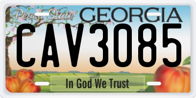 GA license plate CAV3085