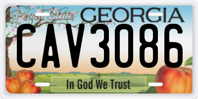 GA license plate CAV3086