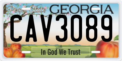 GA license plate CAV3089
