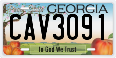 GA license plate CAV3091