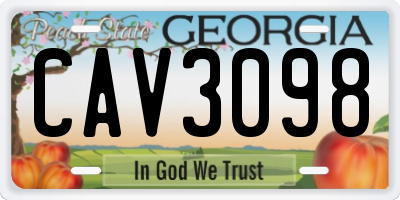 GA license plate CAV3098
