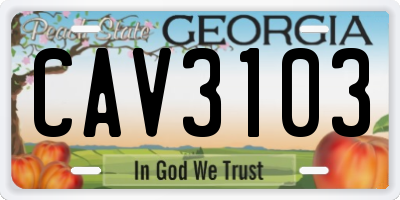 GA license plate CAV3103