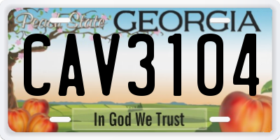 GA license plate CAV3104