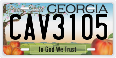 GA license plate CAV3105