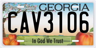 GA license plate CAV3106