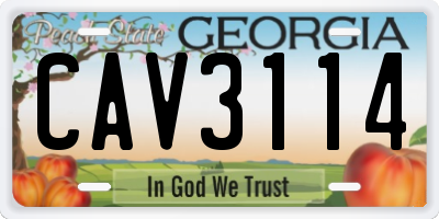 GA license plate CAV3114
