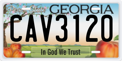 GA license plate CAV3120