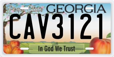 GA license plate CAV3121