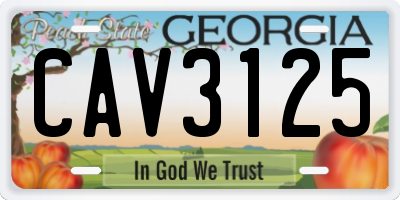 GA license plate CAV3125