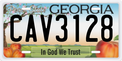 GA license plate CAV3128
