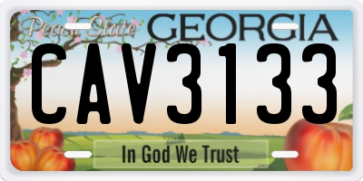 GA license plate CAV3133