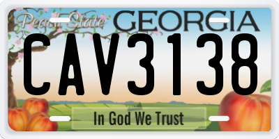 GA license plate CAV3138