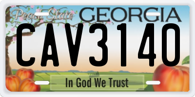 GA license plate CAV3140