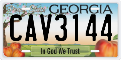 GA license plate CAV3144